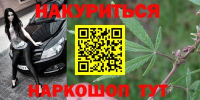 спайс Гай