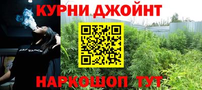 спайс Гай