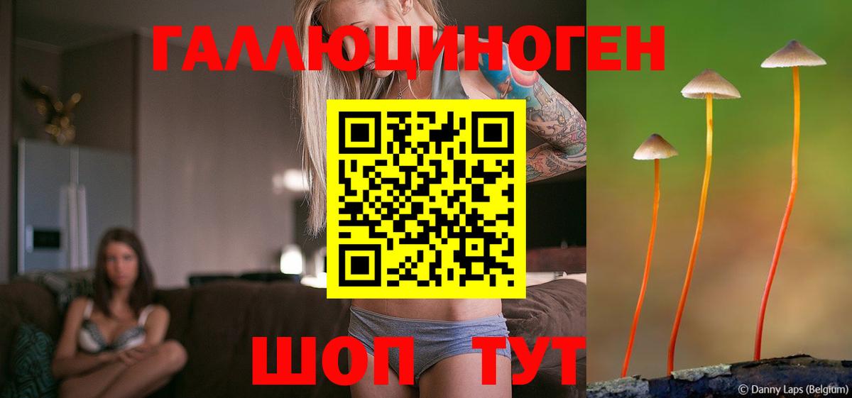 Галлюциногенные грибы ЛСД  Вход с VPN  Мурино  закладки  Псилоцибиновые грибы Magic Shrooms 