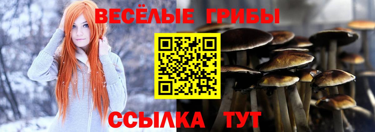 Галлюциногенные грибы ЛСД Мурино